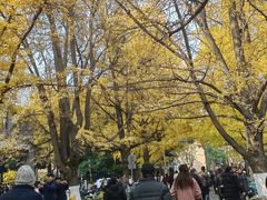 -四川大学(华西校区)