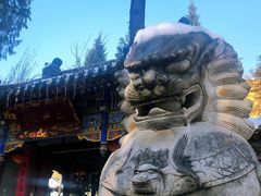 -兴教寺