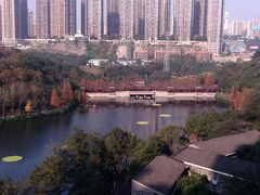 -重庆彩云湖湿地公园