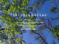 -黑龙江省森林植物园