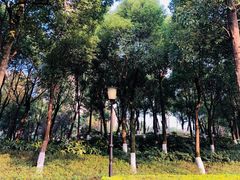 -重庆市江北嘴中央商务区中央公园