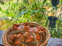 -蟹村草堂·苏式园林人文农家·大闸蟹