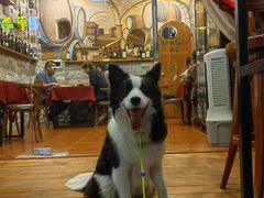 -安立可意大利美食