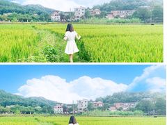 -红山村