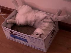 -万象影城(深圳布吉万象汇IMAX店)