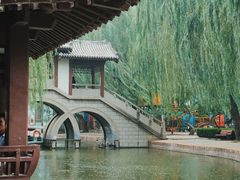 -团结湖公园