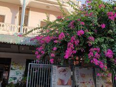 -Fresh Fruit Factory - Fruit Cuisine Restaurant