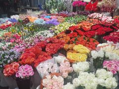 -双季花艺园艺市场(浦东店)