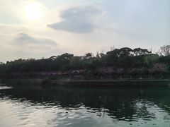 -望江楼公园