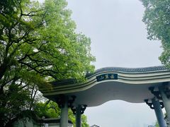 -MAMACHA妈妈茶(岳麓山店)