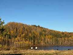 -五营红松林海景区