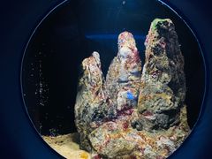 -欢乐海岸海洋奇梦馆