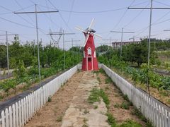 -意大利农场度假村