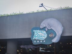 -河川生态园