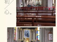 -上海佘山国家森林公园西佘山园