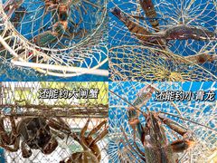-SHRIMP CLUB万东餐饮钓虾·清吧