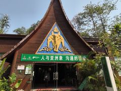 -野象谷景区