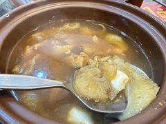 -大中鱼翅 Taitong Shark Fin