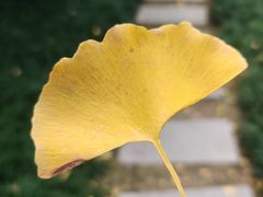 -昆山城市公园