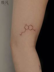 点击看大图 -飛凡TATTOO纹身•原创