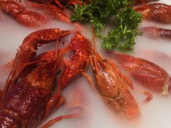 -沪小胖小龙虾(淮海中路旗舰店)