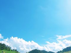 -关山草原