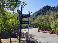 -金龙寺国家森林公园