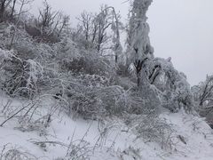 -九皇山景区