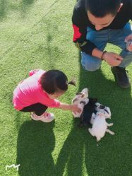 -萌宠亲子动物乐园(槐房万达店)