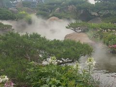 -罗红摄影艺术馆