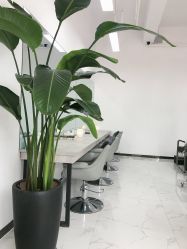 点击看大图 -未来美发·T1M HAIR SALON