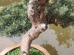 -蜀大侠·侠客印象(园林博物馆店)