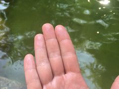 -森波拉火山温泉