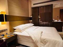 -扬州绿地铂骊酒店