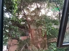 -阿伟海鲜楼·福建菜(延寿店)