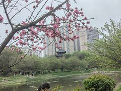 -堤角公园