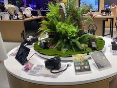 -Sony Store索尼(广州正佳店)