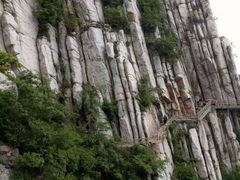 -中原农家乐(中原饭店)