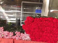 -三圣花乡旅游区