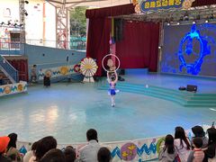 -史努比缤纷世界