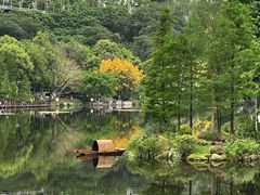 -重庆彩云湖湿地公园