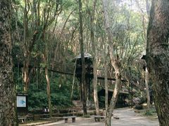 -富春桃源风景区