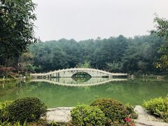 -铁山坪森林公园