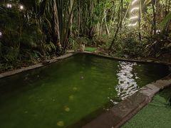 -碧桂园润杨溪谷温泉酒店