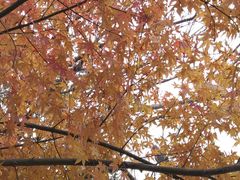 -东钱湖旅游度假区