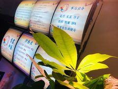 价目表-老成都·古法采耳·禅洗头疗(四川总店)