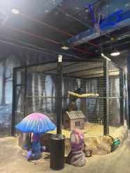 -酷嗒动物文化乐园(cutezoo西溪乐天城店)