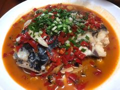 -全乐鱼馆·淳牌有机鱼直营店
