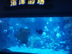 -南昌海洋公园