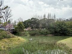 -狼山风景名胜区